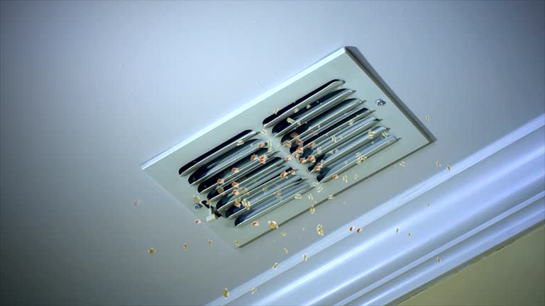Best Duct Cleaning Specialists  in Fennimore, WI